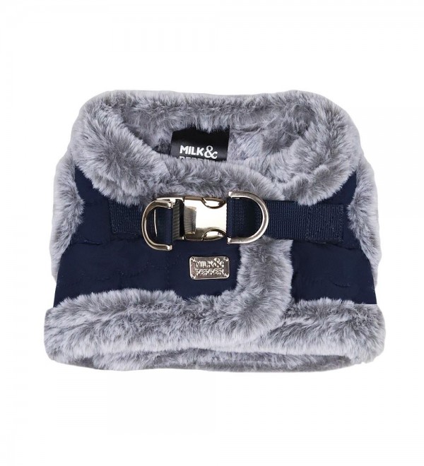 Small Dog Harness Read