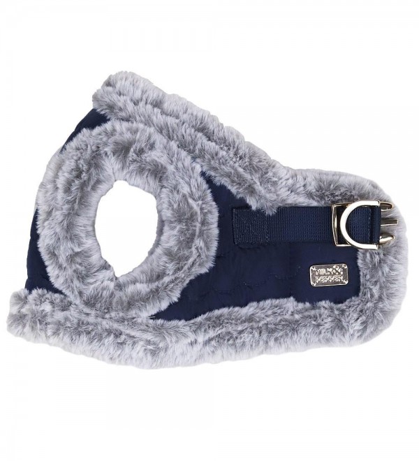 Small Dog Harness Read