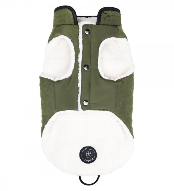 Ralph's Small Dog Coat
