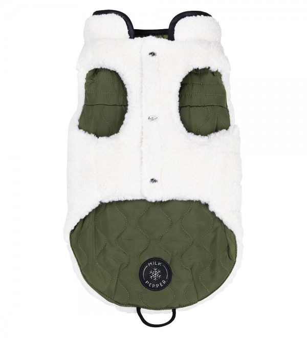 Ralph's Small Dog Coat