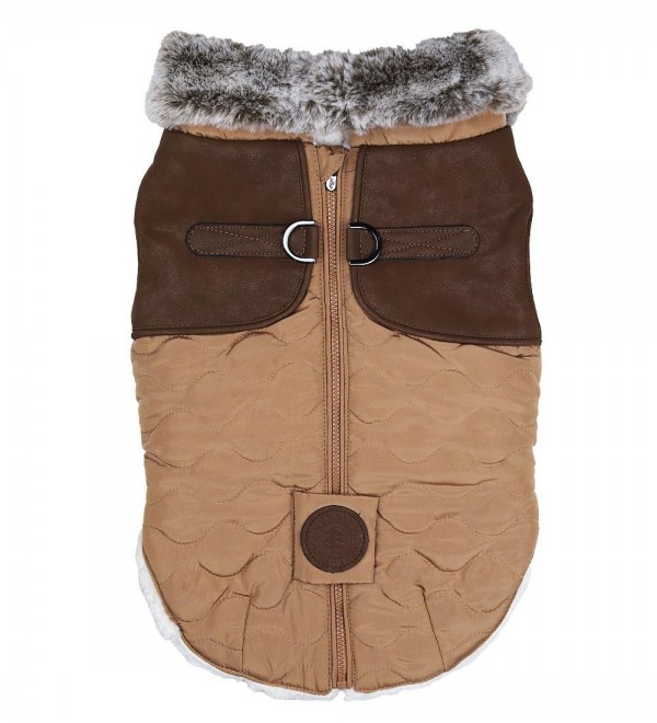 Coat-harness for Bulldog Octave