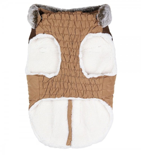 Coat-harness for Bulldog Octave