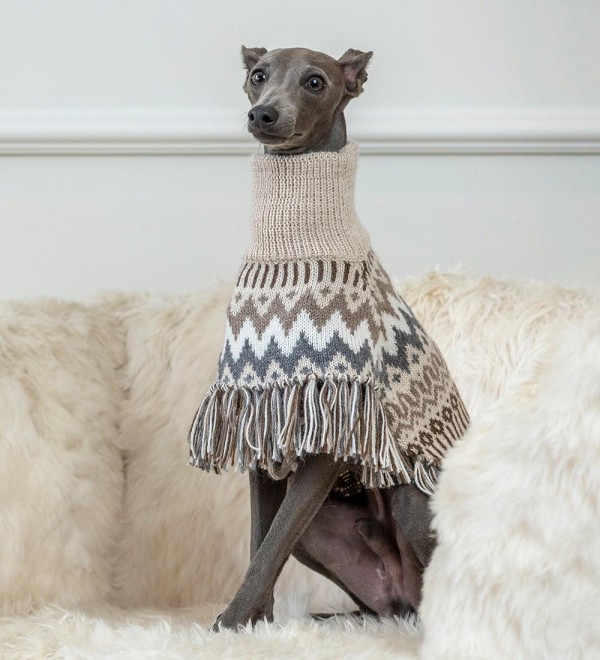 Poncho Perro Woolly Winter