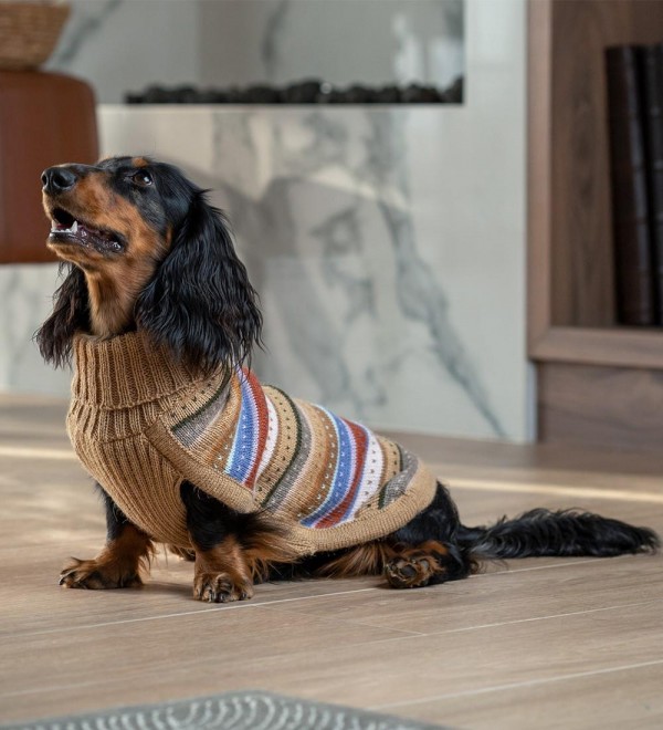 Hello Autumn Dog Sweater