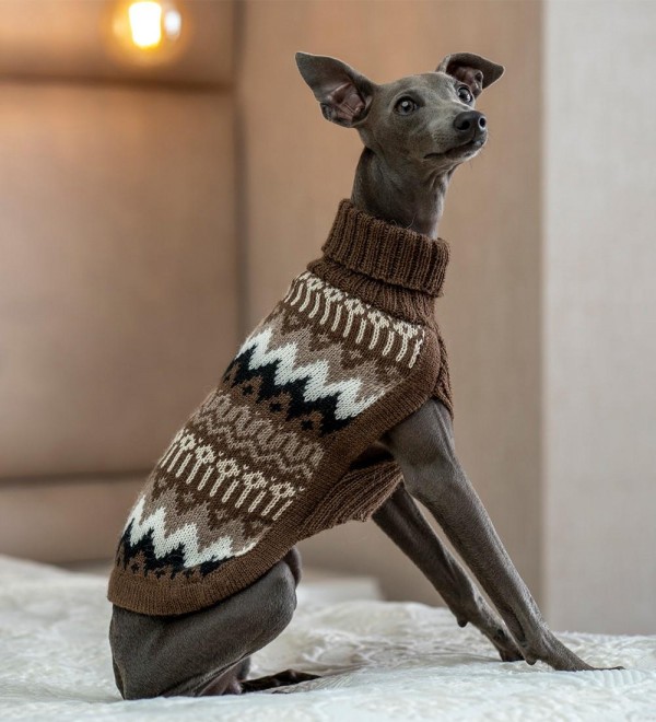 Woolly Peaks Dog Sweater