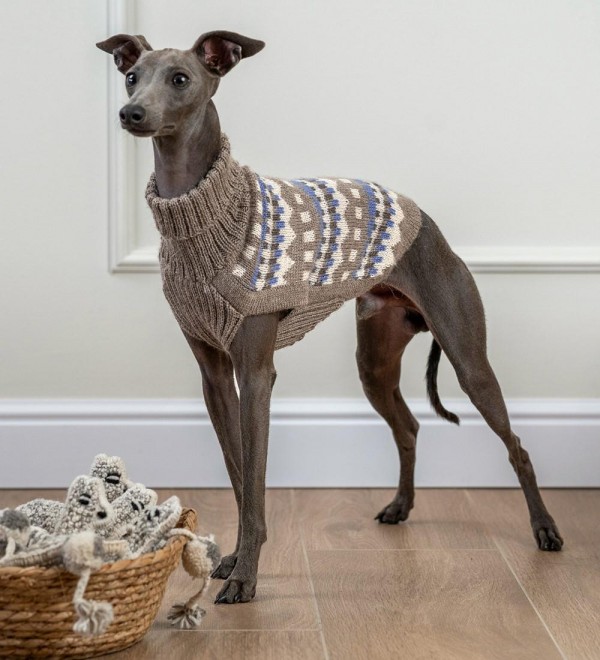 Oasis Dog Sweater