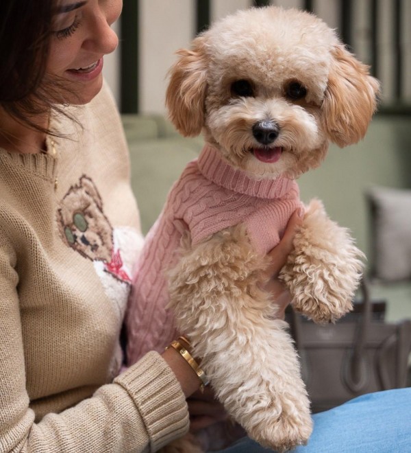 Pink Dog Sweater - 100% Merino Wool