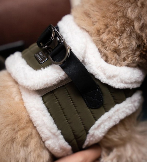 Joakim Small Dog Harness