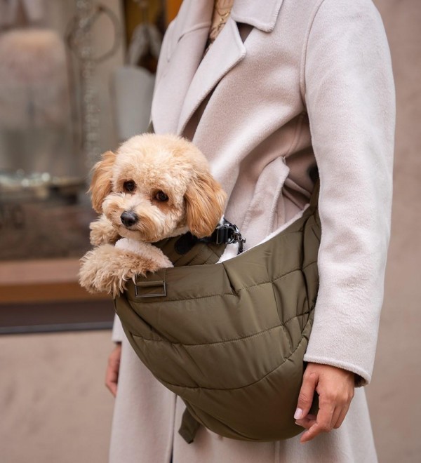Dog bandolier - Konrad