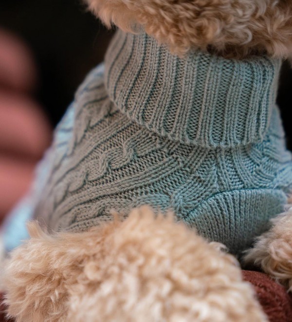 Green Dog Sweater - 100% Merino Wool