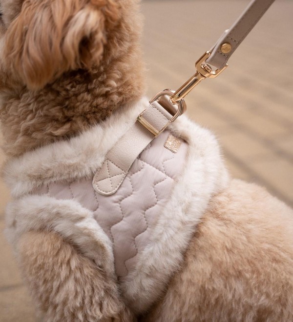 Small Dog Harness Ania