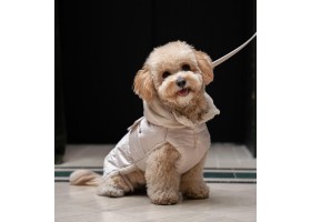 Beige Feathers Dog Coat