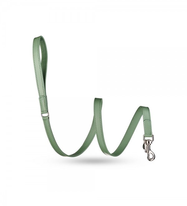 Leather dog leash - Movie Green