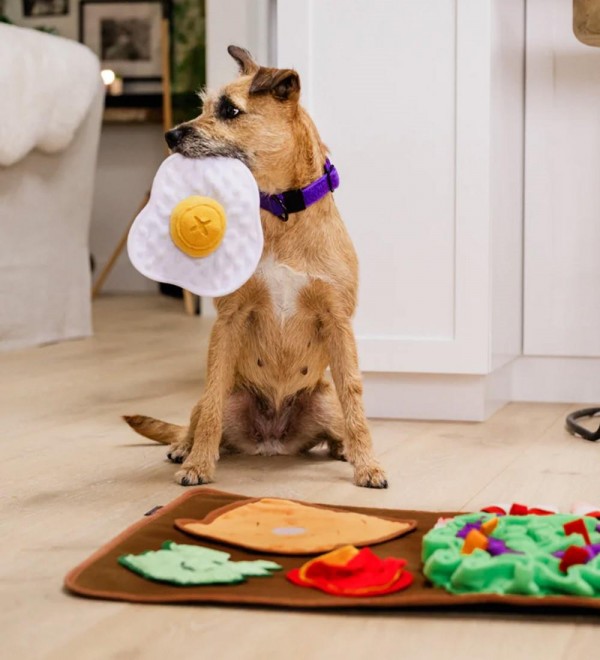 Alfombra olfativa perro - comida