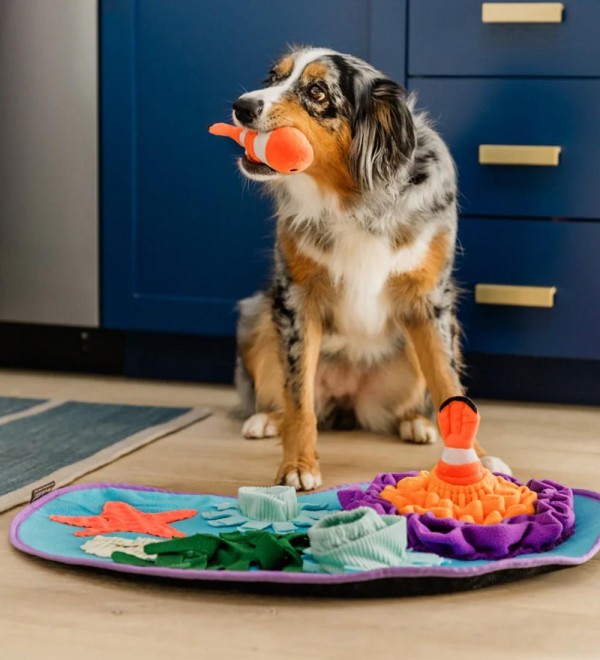 Alfombra olfativa perro – Arrecife de coral