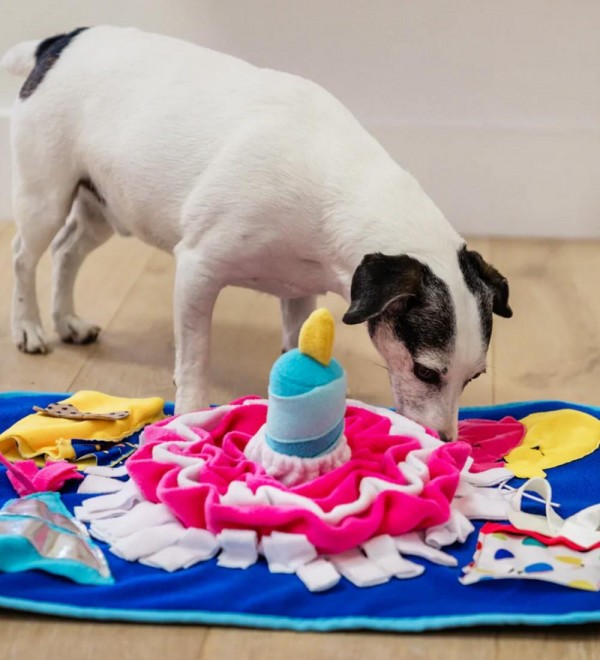Dog Scent Carpet - Birthday Party