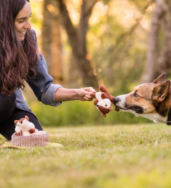 Stuffed toy for dogs Squirrels