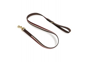 Leash Leather Dog Leash - Tricolor Varsity