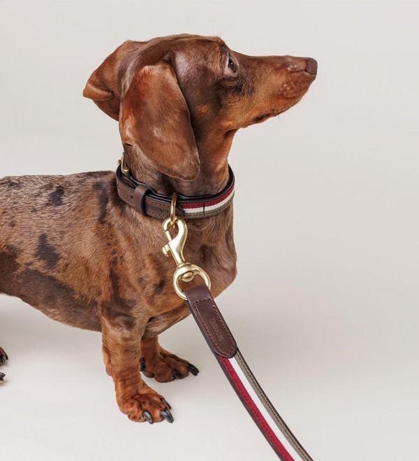 Leather Dog Leash - Varsity Burgundy