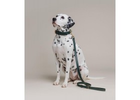 Leather Dog Leash - Heritage Green