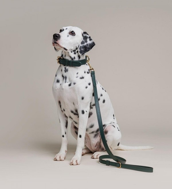 Correa Cuero Perro - Heritage Dark Green