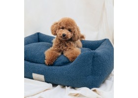 Teddy Blue Dog Bed