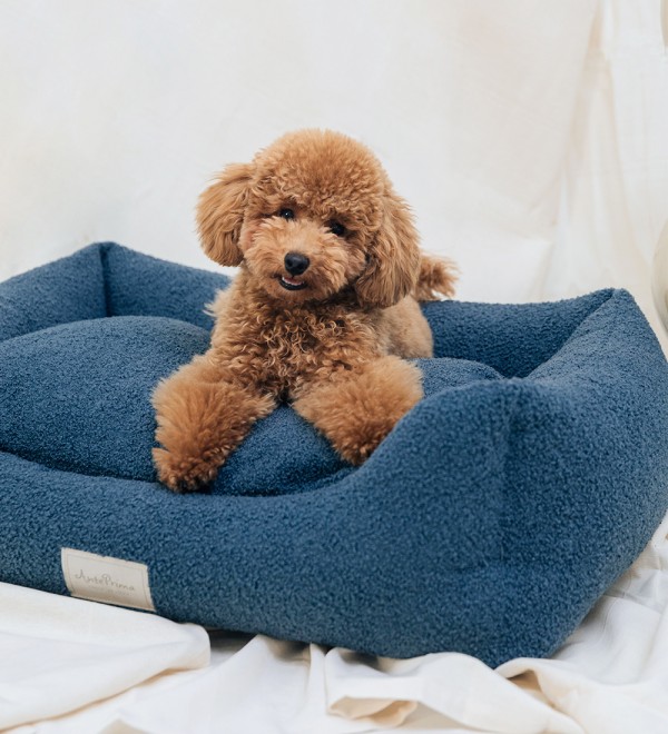 Blue Teddy Dog Bed