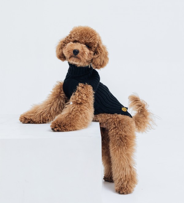 Black Braided Dog Sweater