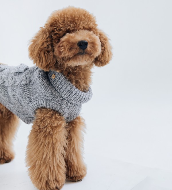 Dog Sweater - Keelan Gray