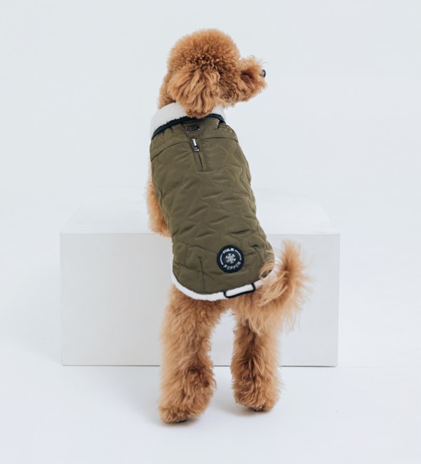 Ralph's Small Dog Coat