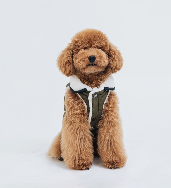 Ralph Small Dog Coat