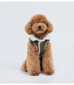 Ralph Small Dog Coat