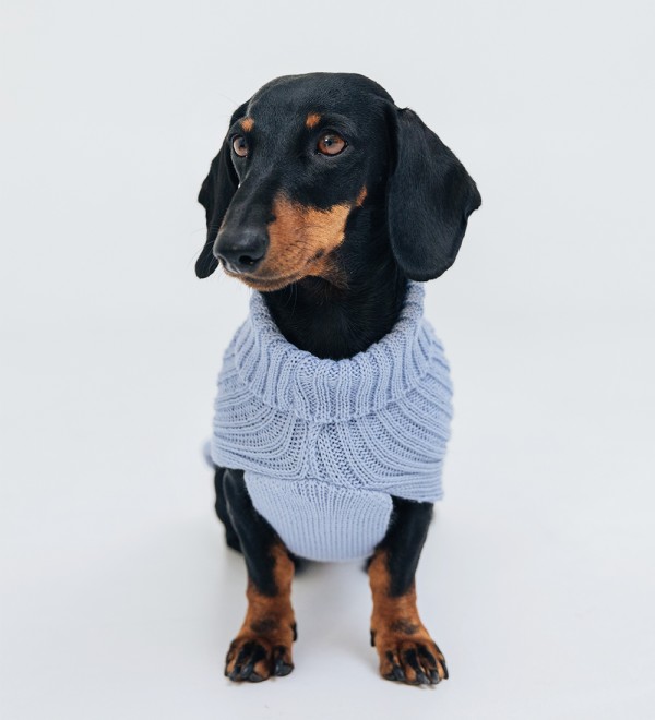 Blue Braided Dog Sweater