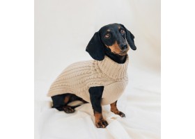 Beige Dog Sweater - 100% Merino Wool