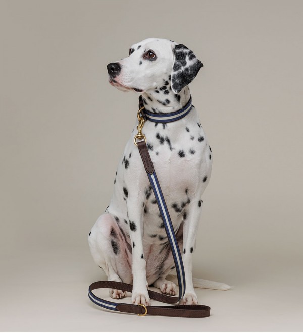 Leash Leather Dog Leash - Varsity Blue