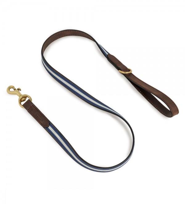 Leash Leather Dog Leash - Varsity Blue