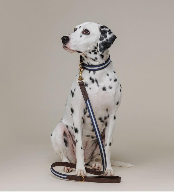 Leash Leather Dog Leash - Varsity Blue