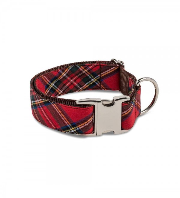 Dog Collar Textured Tremp