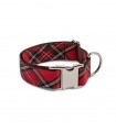 Dog Collar Textured Tremp