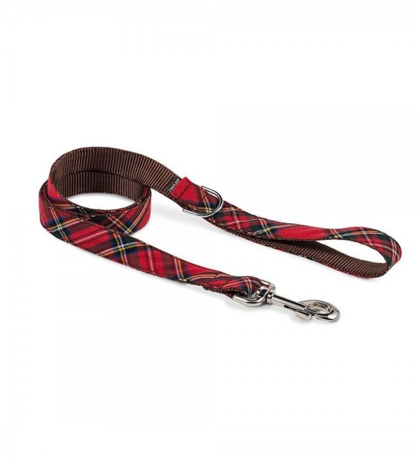 Leash Perro Tremp