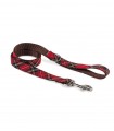 Leash Perro Tremp