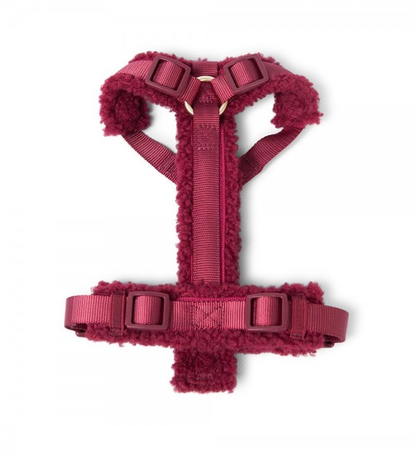 Bordeaux Sheepdog Harness