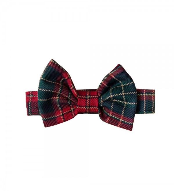Bow tie for Dog George