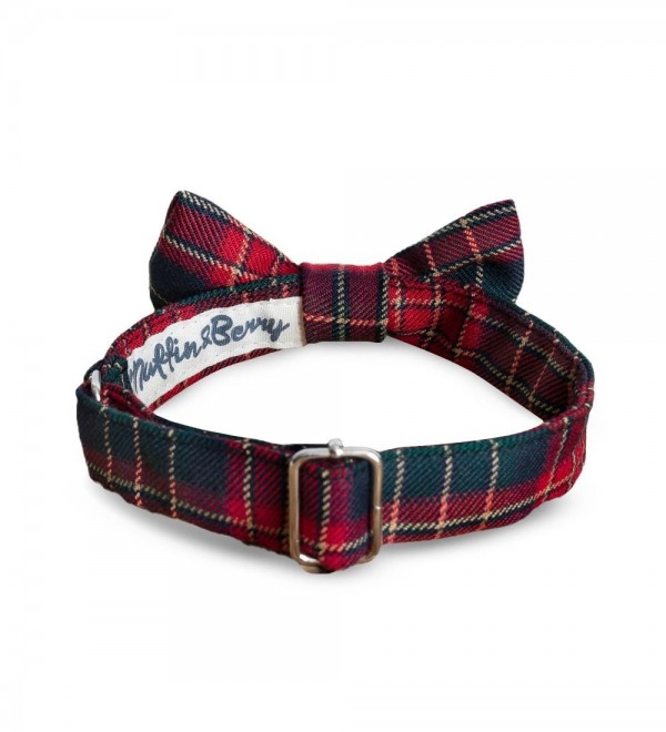 Bow tie for Dog George