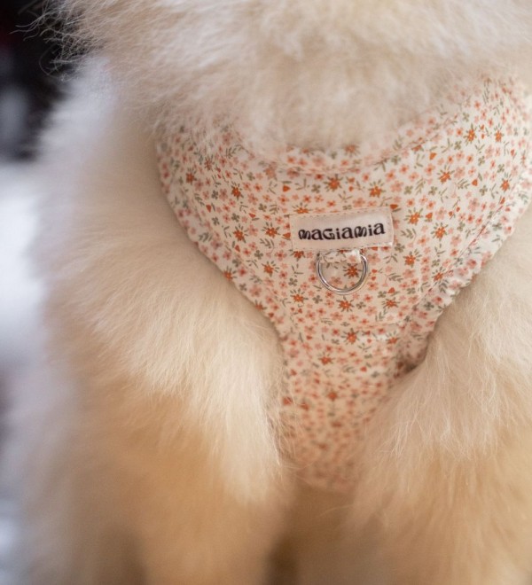 Adjustable Flower Mini Dog Harness