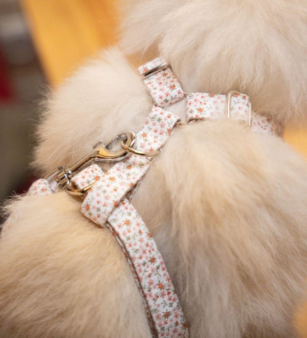 Adjustable Flower Mini Dog Harness