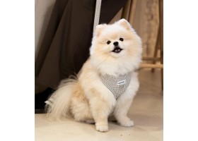 Vichy Beige Adjustable Dog Harness