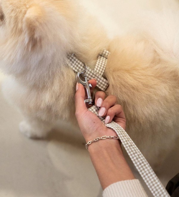 Adjustable Beige Vichy Dog Harness