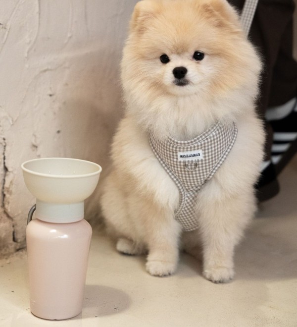 Botella Bebedero Flip Beige