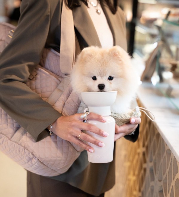 Sadie's small dog bag